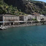 Nazlihan - Special Category Assos
