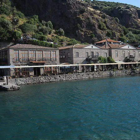 Nazlihan - Special Category Assos