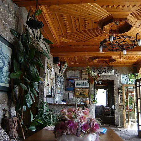 Nazlihan - Special Category 2*