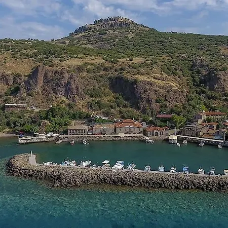 Nazlihan - Special Category 2*