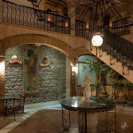 Nazlihan - Special Category Assos