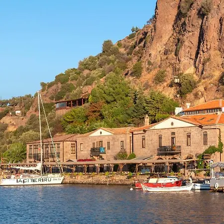 Nazlihan - Special Category Assos