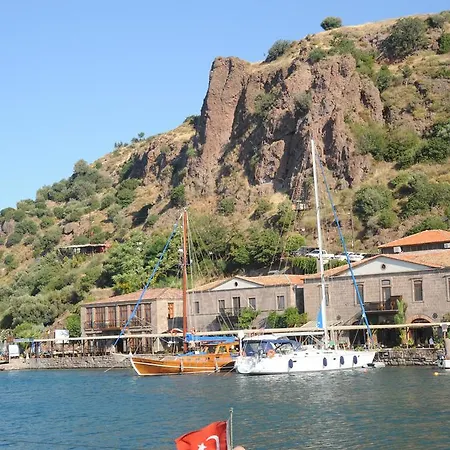 Nazlihan - Special Category Assos