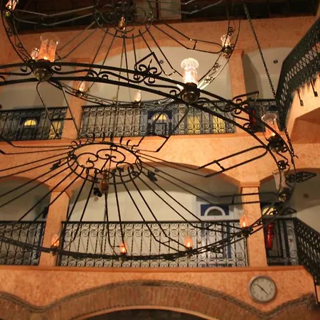 Nazlihan - Special Category Assos