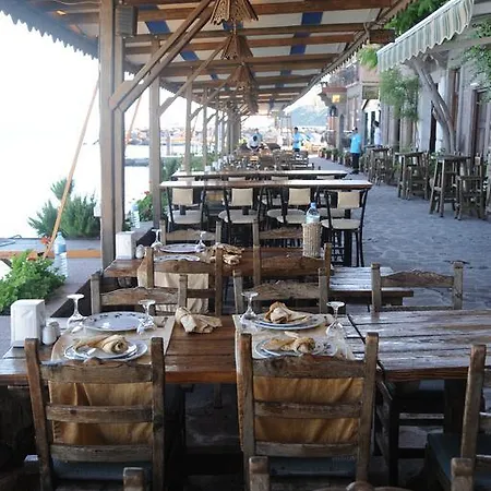 Nazlihan - Special Category Assos