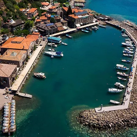 Nazlihan - Special Category Assos