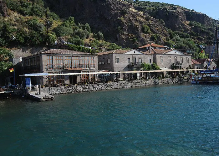 Nazlihan - Special Category Assos