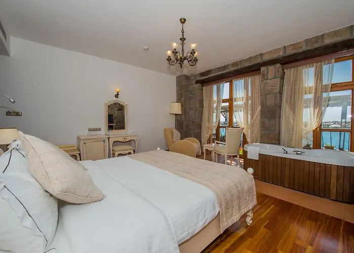 Nazlihan - Special Category Assos