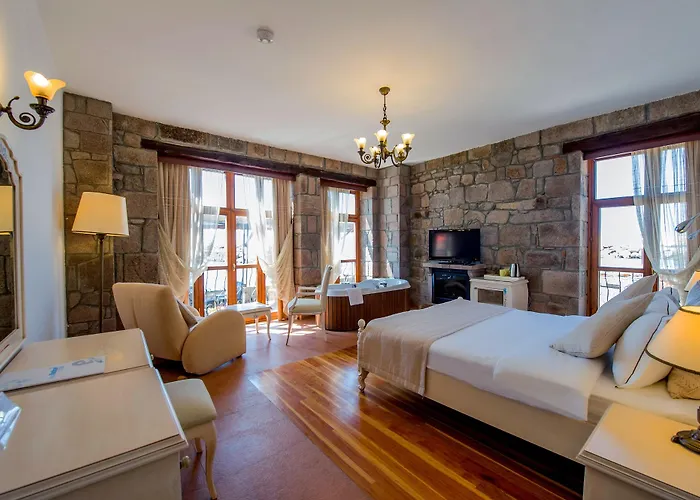 Nazlihan - Special Category Assos