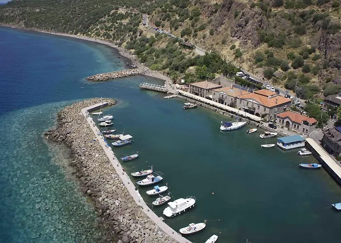 Nazlihan - Special Category Assos