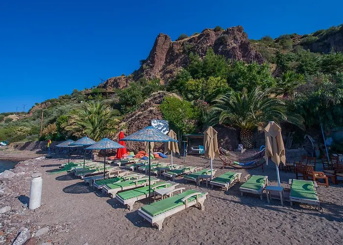 Nazlihan - Special Category