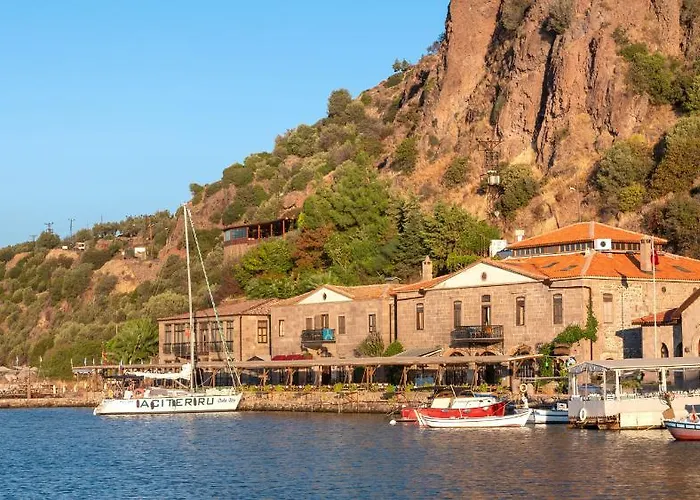 Nazlihan - Special Category Assos