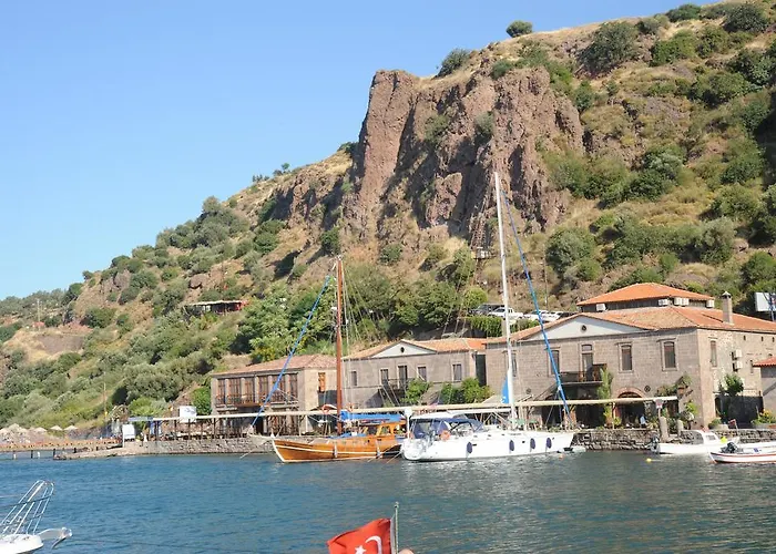 Nazlihan - Special Category Assos