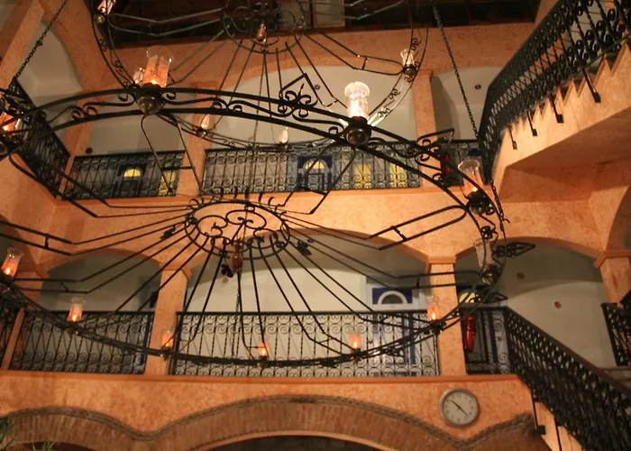 Nazlihan - Special Category Assos