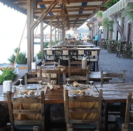 Nazlihan - Special Category Assos