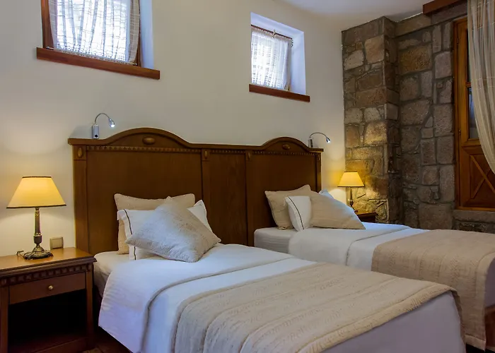 Nazlihan - Special Category Assos