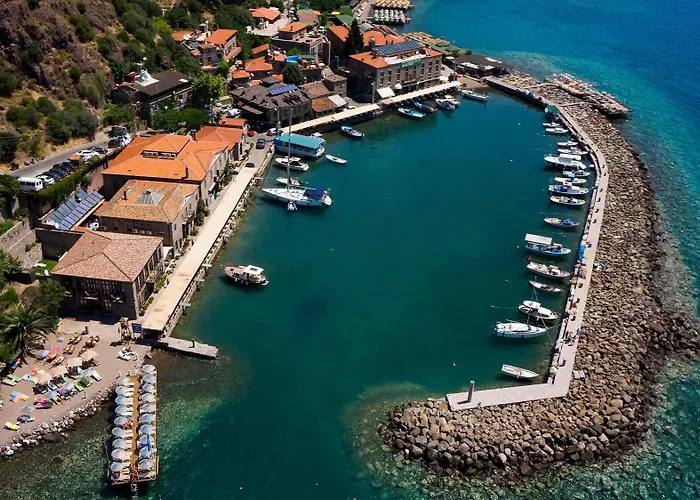 Nazlihan - Special Category Assos